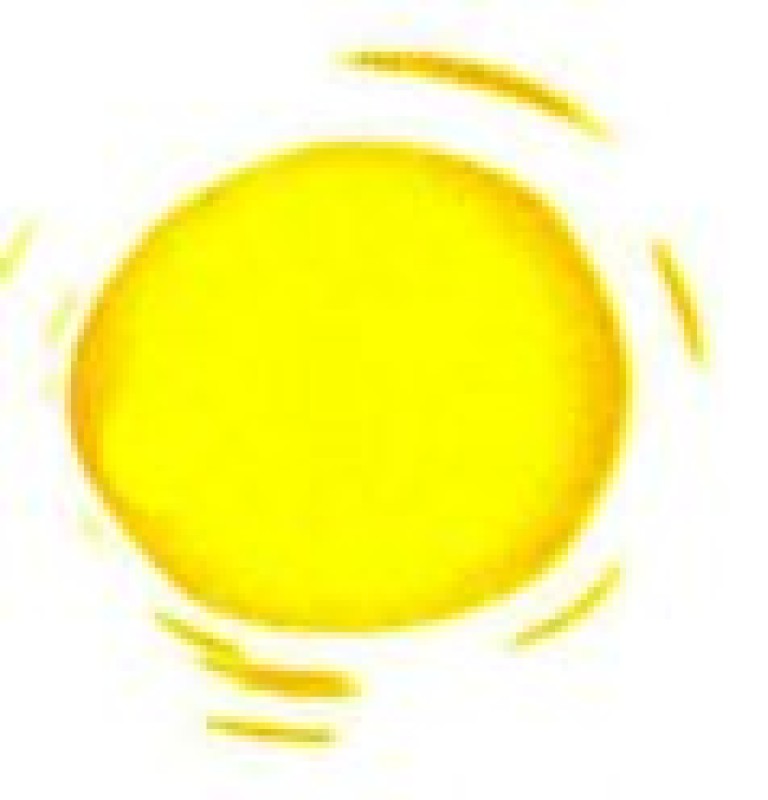 Horaires d'&eacute;t&eacute; : du mercredi au samedi !