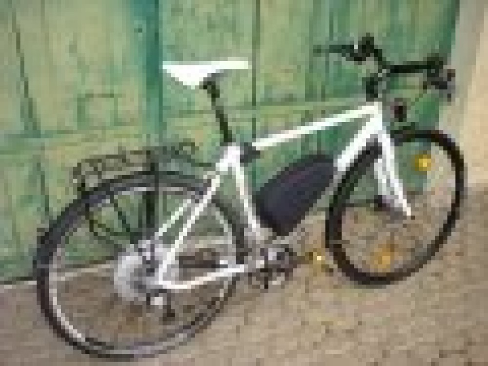 Raleigh Nighlife + Bionx Pl500HS - Classe et vitesse !