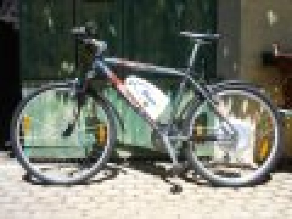 Bionx PL500HS d'occasion ! <i>[D&eacute;j&agrave; vendu]</i>