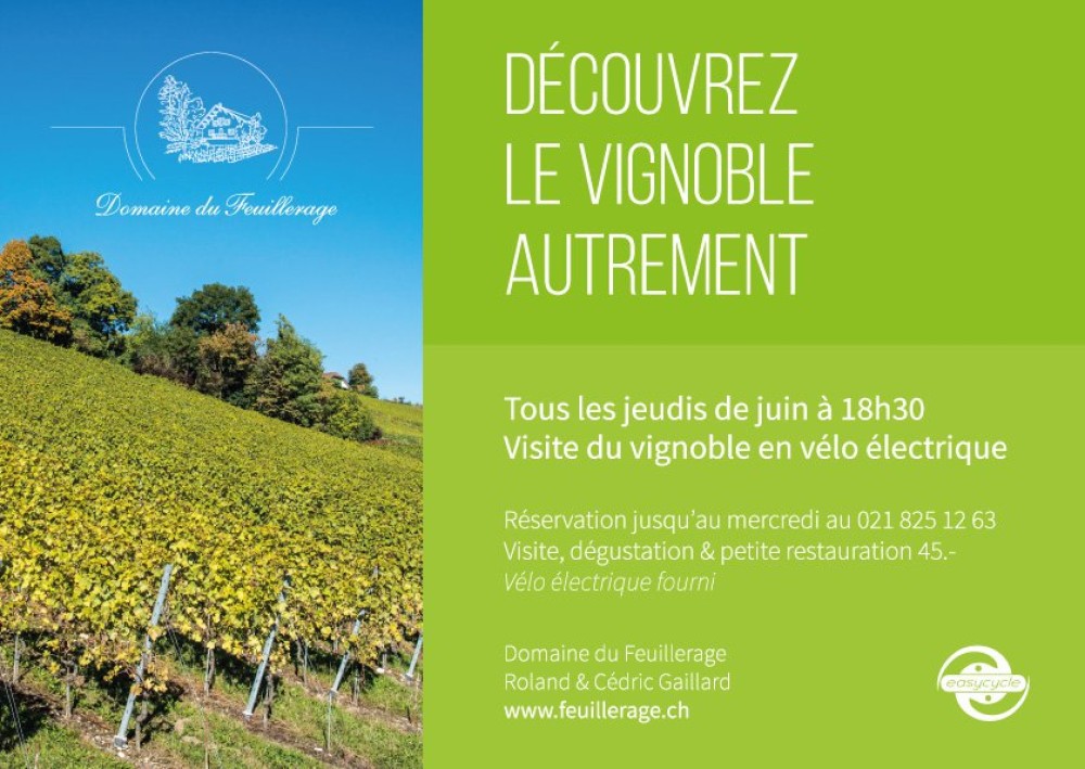 D&eacute;couvrez le vignoble autrement