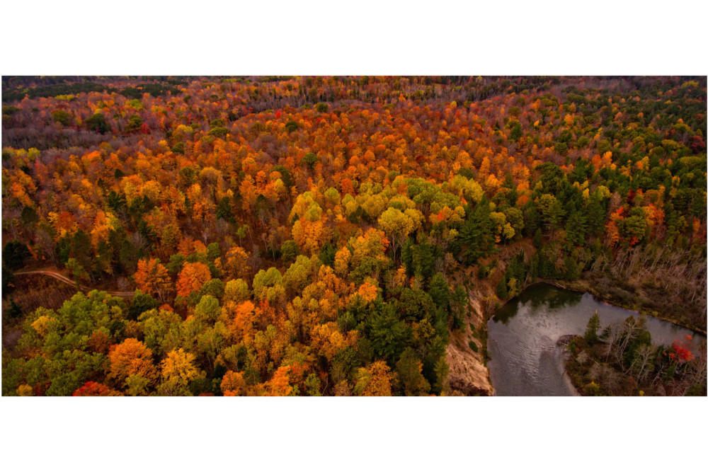 Deux mythes au catalogue - Cannondale et GT