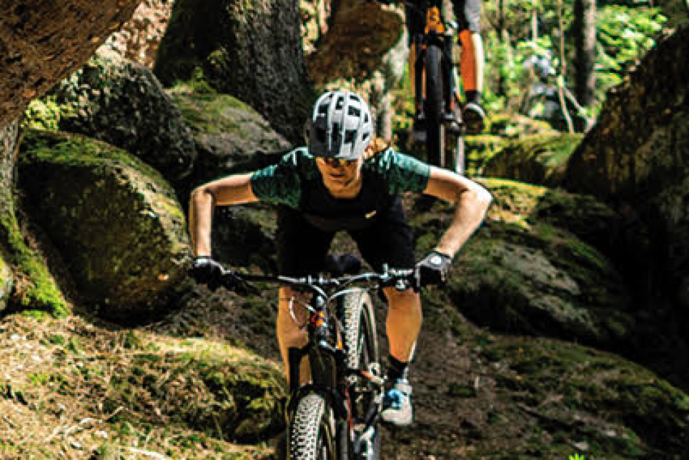 Un salon de montagne